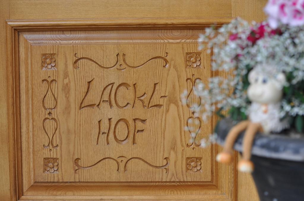 Apartment Lacklhof Großkirchheim 部屋 写真